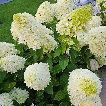 Maison Flo Βίλα *